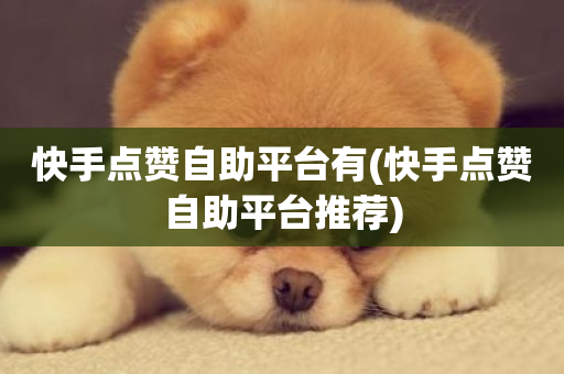 快手点赞自助平台有(快手点赞自助平台推荐)-第1张图片-ZBLOG