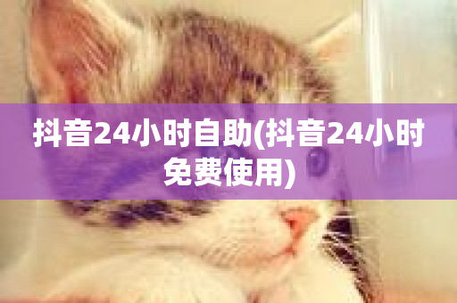 抖音24小时自助(抖音24小时免费使用)-第1张图片-ZBLOG