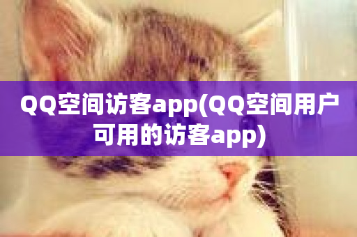 QQ空间访客app(QQ空间用户可用的访客app)-第1张图片-ZBLOG