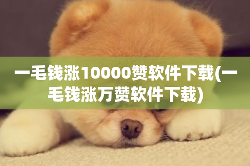 一毛钱涨10000赞软件下载(一毛钱涨万赞软件下载)-第1张图片-ZBLOG