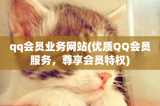 qq会员业务网站(优质QQ会员服务，尊享会员特权)