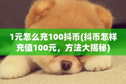 1元怎么充100抖币(抖币怎样充值100元，方法大揭秘)