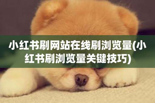 小红书刷网站在线刷浏览量(小红书刷浏览量关键技巧)-第1张图片-ZBLOG