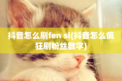 抖音怎么刷fen si(抖音怎么疯狂刷粉丝数字)-第1张图片-ZBLOG