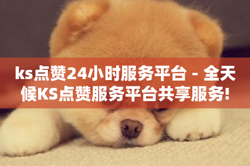 ks点赞24小时服务平台 - 全天候KS点赞服务平台共享服务!-第1张图片-ZBLOG