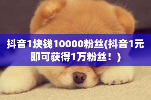 抖音1块钱10000粉丝(抖音1元即可获得1万粉丝！)