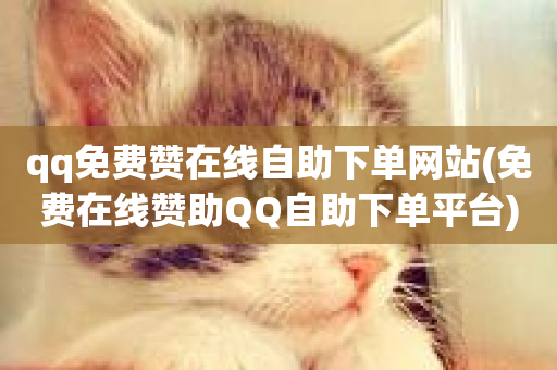 qq免费赞在线自助下单网站(免费在线赞助QQ自助下单平台)