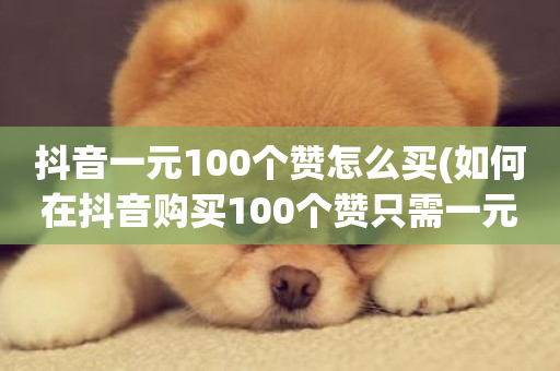 抖音一元100个赞怎么买(如何在抖音购买100个赞只需一元)