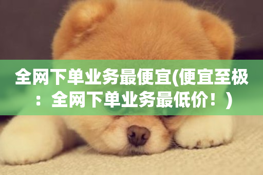 全网下单业务最便宜(便宜至极：全网下单业务最低价！)-第1张图片-ZBLOG