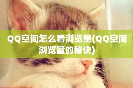 QQ空间怎么看浏览量(QQ空间浏览量的秘诀)-第1张图片-ZBLOG