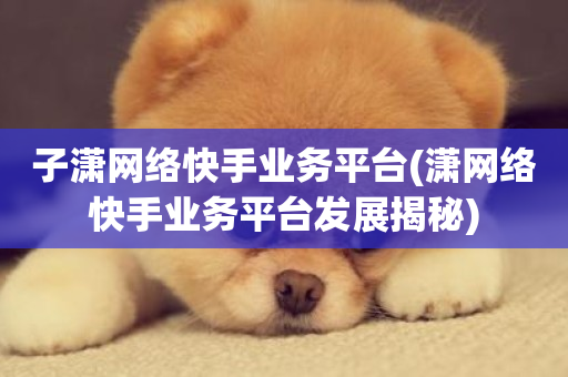 子潇网络快手业务平台(潇网络快手业务平台发展揭秘)