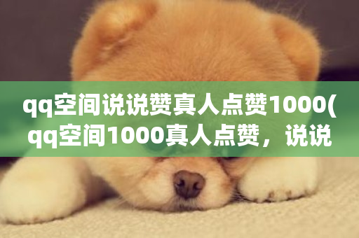 qq空间说说赞真人点赞1000(qq空间1000真人点赞，说说赞来袭)-第1张图片-ZBLOG