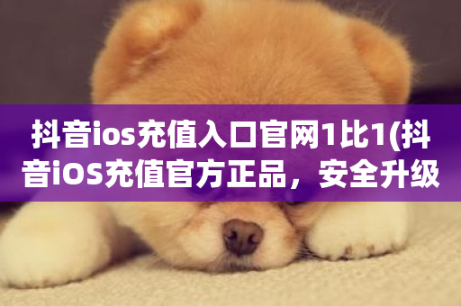 抖音ios充值入口官网1比1(抖音iOS充值官方正品，安全升级)