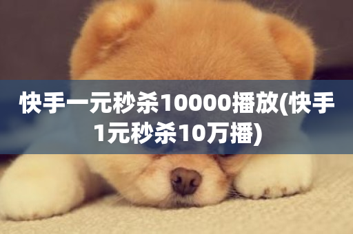 快手一元秒杀10000播放(快手1元秒杀10万播)-第1张图片-ZBLOG