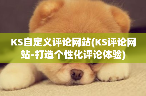 KS自定义评论网站(KS评论网站-打造个性化评论体验)