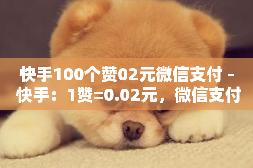 快手100个赞02元微信支付 - 快手：1赞=0.02元，微信支付100个赞只需2元！~-第1张图片-ZBLOG