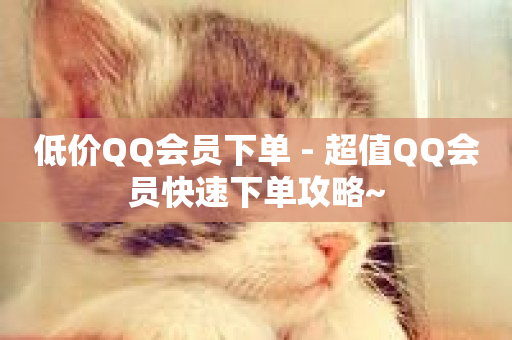 低价QQ会员下单 - 超值QQ会员快速下单攻略~-第1张图片-ZBLOG