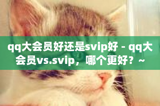 qq大会员好还是svip好 - qq大会员vs.svip，哪个更好？~-第1张图片-ZBLOG