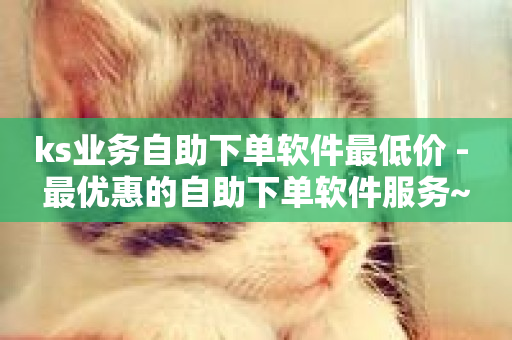 ks业务自助下单软件最低价 - 最优惠的自助下单软件服务~-第1张图片-ZBLOG