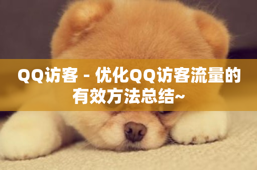 QQ访客 - 优化QQ访客流量的有效方法总结~-第1张图片-ZBLOG