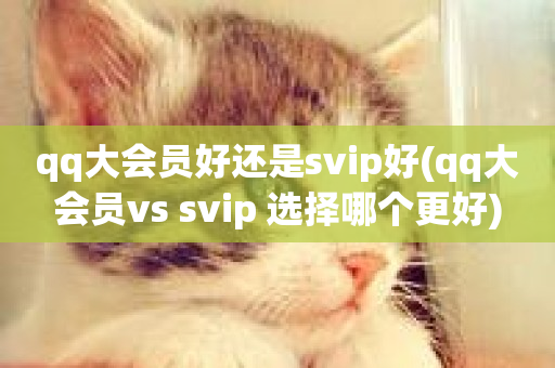 qq大会员好还是svip好(qq大会员vs svip 选择哪个更好)