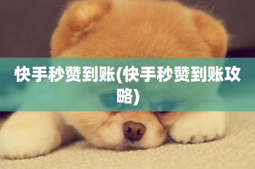 快手秒赞到账(快手秒赞到账攻略)-第1张图片-ZBLOG