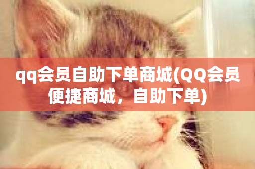 qq会员自助下单商城(QQ会员便捷商城，自助下单)