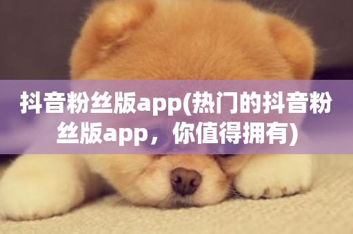 抖音粉丝版app(热门的抖音粉丝版app，你值得拥有)