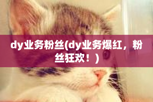 dy业务粉丝(dy业务爆红，粉丝狂欢！)-第1张图片-ZBLOG