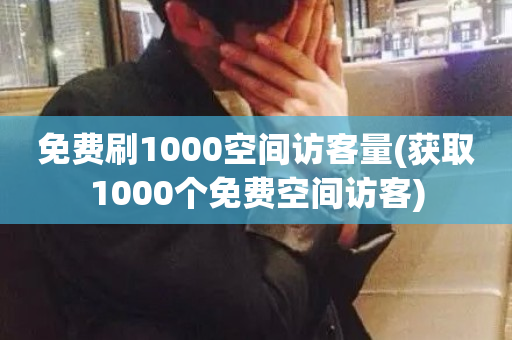 免费刷1000空间访客量(获取1000个免费空间访客)-第1张图片-ZBLOG