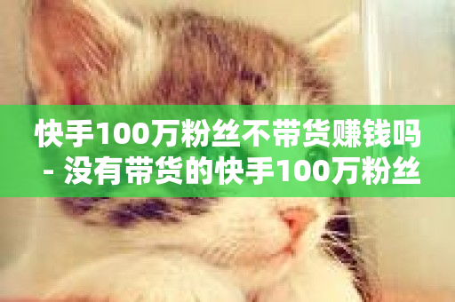 快手100万粉丝不带货赚钱吗 - 没有带货的快手100万粉丝如何盈利~-第1张图片-ZBLOG