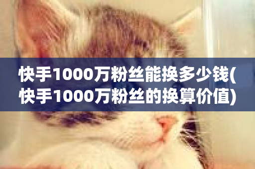 快手1000万粉丝能换多少钱(快手1000万粉丝的换算价值)