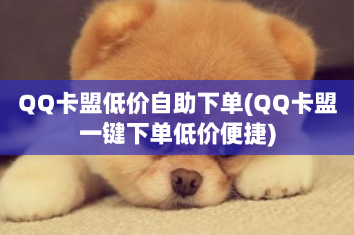 QQ卡盟低价自助下单(QQ卡盟一键下单低价便捷)-第1张图片-ZBLOG