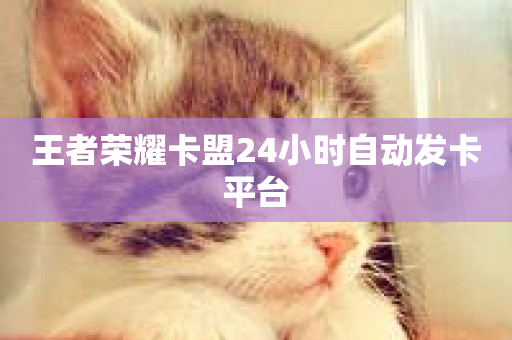 王者荣耀卡盟24小时自动发卡平台-第1张图片-ZBLOG