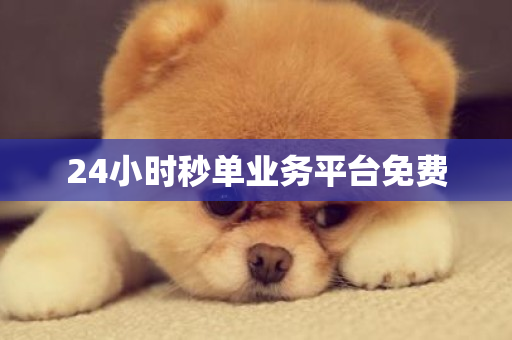 24小时秒单业务平台免费-第1张图片-ZBLOG