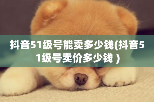 抖音51级号能卖多少钱(抖音51级号卖价多少钱 )-第1张图片-ZBLOG