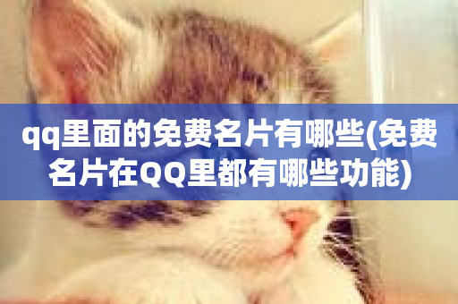 qq里面的免费名片有哪些(免费名片在QQ里都有哪些功能)