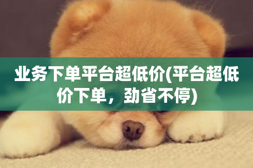 业务下单平台超低价(平台超低价下单，劲省不停)-第1张图片-ZBLOG