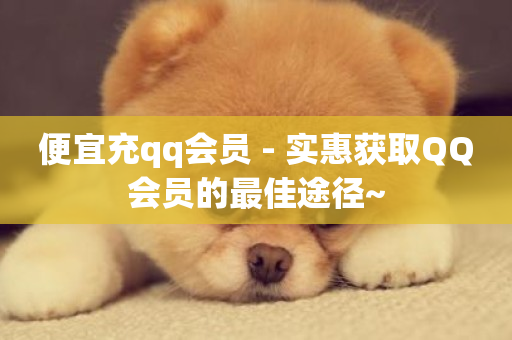 便宜充qq会员 - 实惠获取QQ会员的最佳途径~-第1张图片-ZBLOG