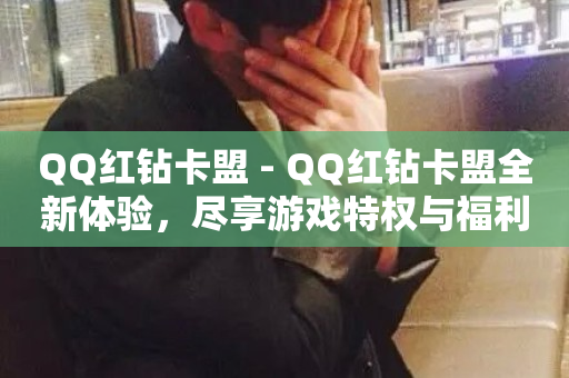 QQ红钻卡盟 - QQ红钻卡盟全新体验，尽享游戏特权与福利~