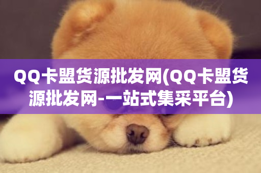 QQ卡盟货源批发网(QQ卡盟货源批发网-一站式集采平台)