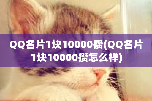 QQ名片1块10000攒(QQ名片1块10000攒怎么样)-第1张图片-ZBLOG