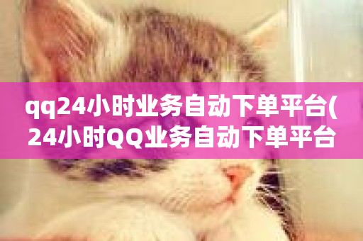 qq24小时业务自动下单平台(24小时QQ业务自动下单平台)