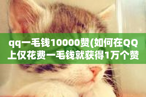 qq一毛钱10000赞(如何在QQ上仅花费一毛钱就获得1万个赞)