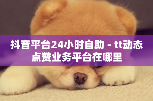 抖音平台24小时自助 - tt动态点赞业务平台在哪里-第1张图片-ZBLOG