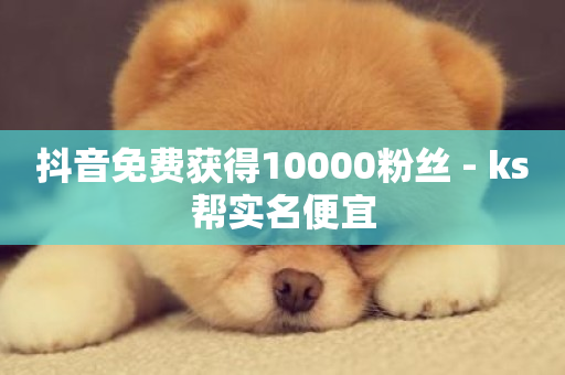 抖音免费获得10000粉丝 - ks帮实名便宜-第1张图片-ZBLOG