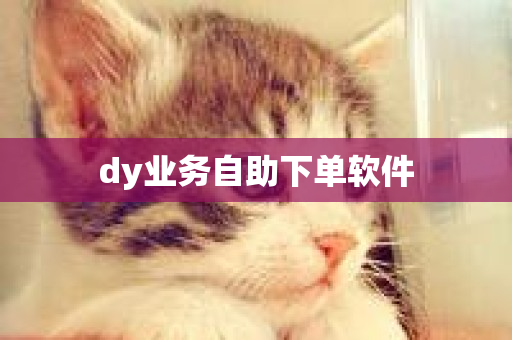 dy业务自助下单软件-第1张图片-ZBLOG