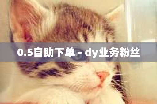 0.5自助下单 - dy业务粉丝-第1张图片-ZBLOG