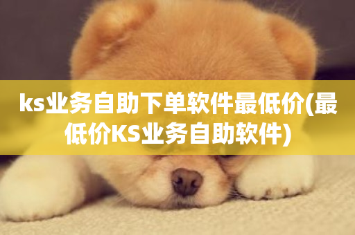 ks业务自助下单软件最低价(最低价KS业务自助软件)-第1张图片-ZBLOG