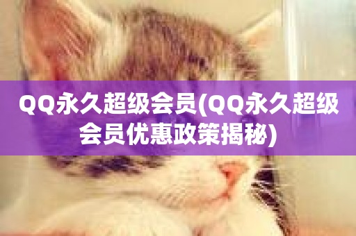 QQ永久超级会员(QQ永久超级会员优惠政策揭秘)-第1张图片-ZBLOG